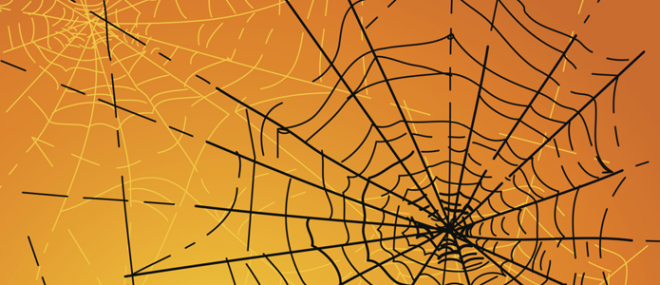 Black spider web in front of orange background