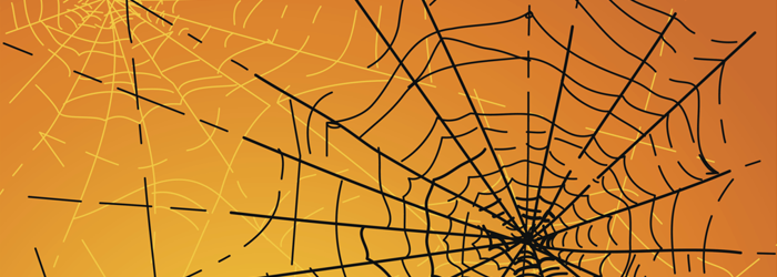 Black spider web in front of orange background