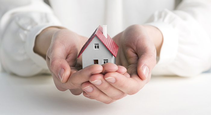 hands holding a small house.