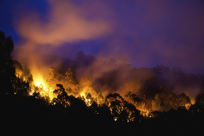wildfire at night.