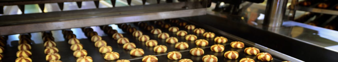 cookies on a conveyor belt in a factory.