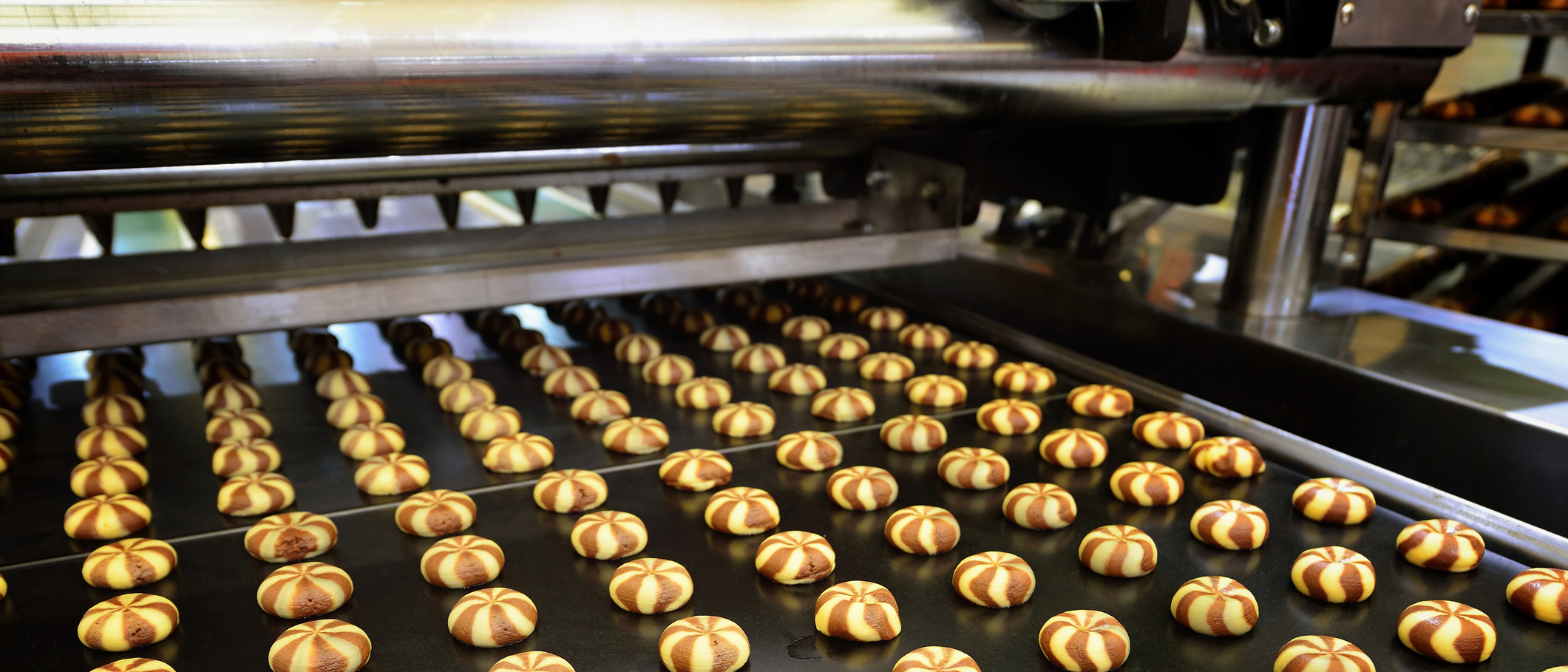 cookies on a conveyor belt in a factory.