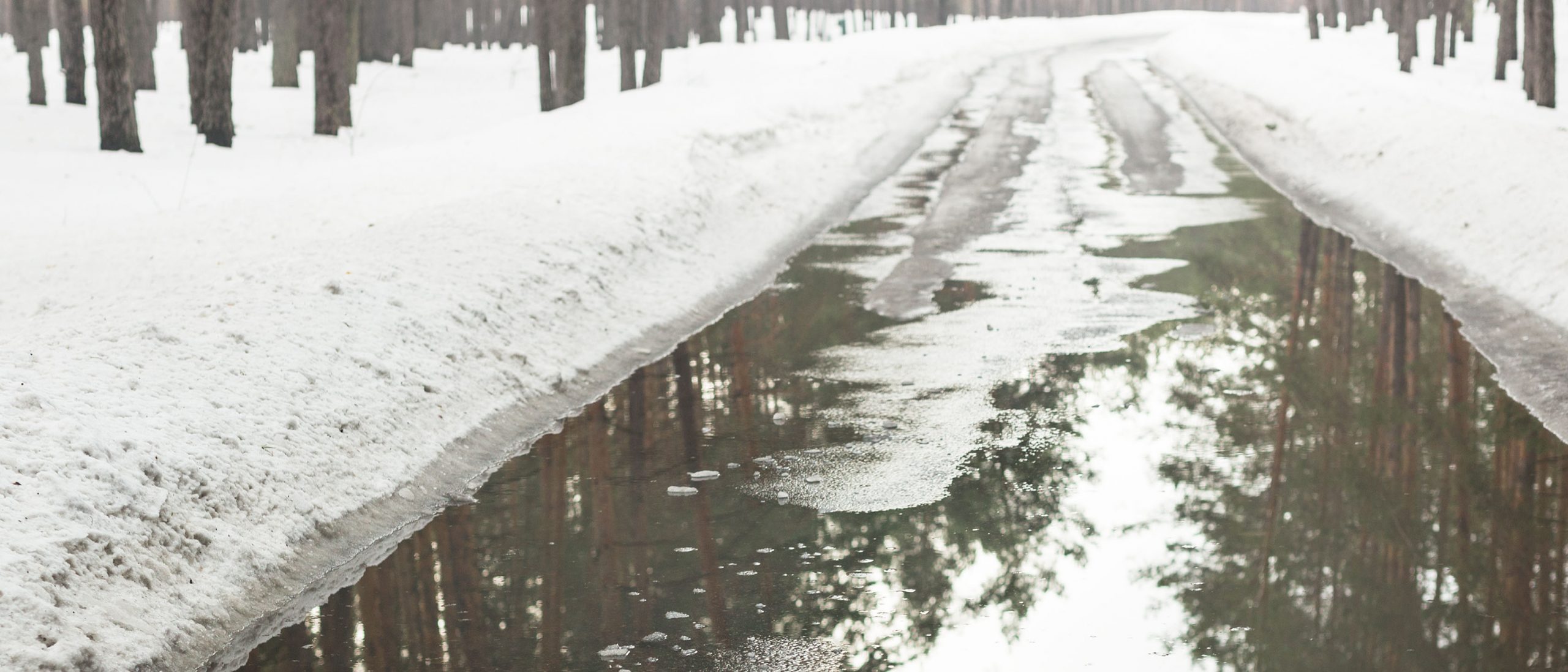 Snow is melting. Snow Mud Road. Melting Snow. Живые картинки тает снег. Slush Mud Snow.