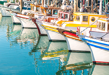 Boats docked in a marina.