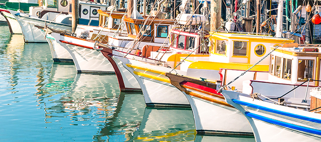 Boats docked in a marina.