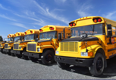 A row of parked yellow school buses.
