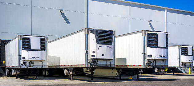 A row of four white refrigerated trailers parked outside a warehouse.