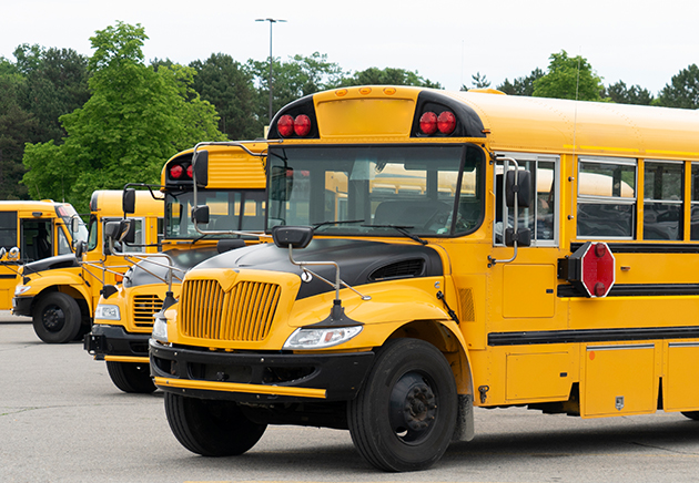 Row of school buses.