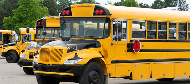 Row of school buses.