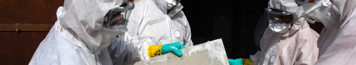 Asbestos removal