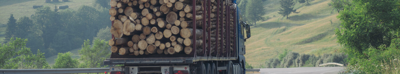 Logging truck driving on a road