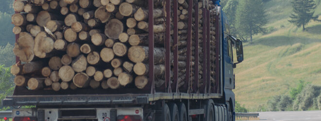 Logging truck driving on a road