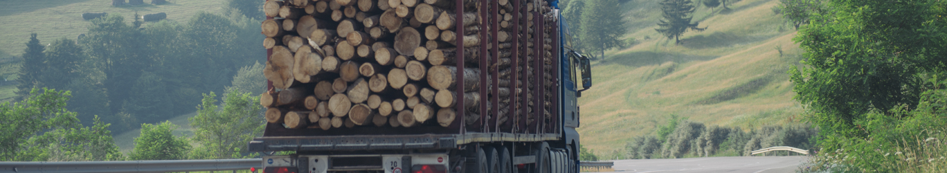 Logging truck driving on a road