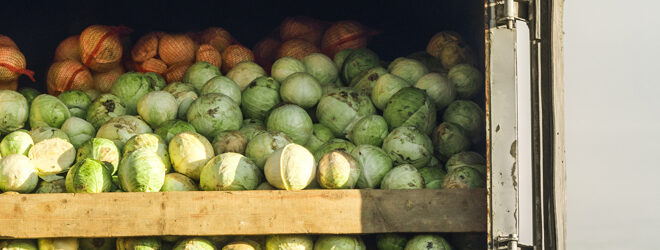 trailer full of cabbage